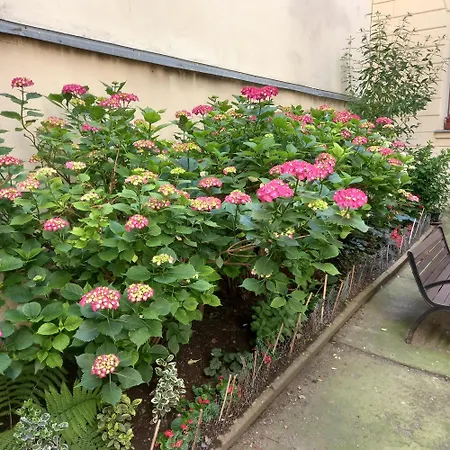 Apartment Charles Bridge 3 Min, Garden, Quiet, Historic Heart, Marsyhome *