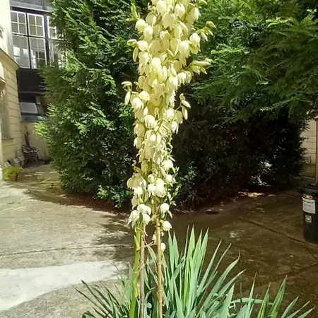 Deluxe In Old Town, Charles Bridge 3 Min, Private Garden, Breakfast Apartment