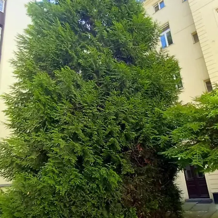 Romantic Garden Near Charles Bridge, Breakfast, Parking, 4-year Host شقة *